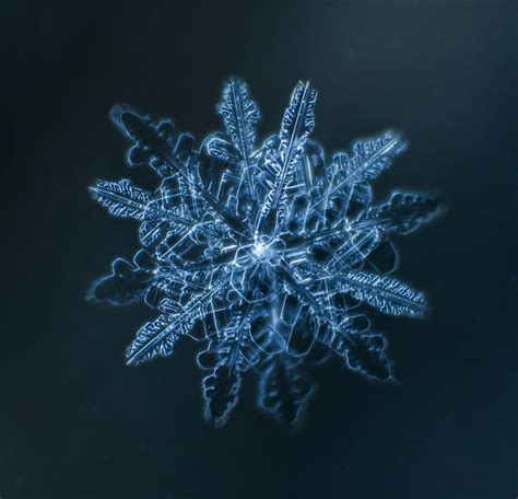 Snowflakes Magnified Hundredfold English Russia Snowflakes Real