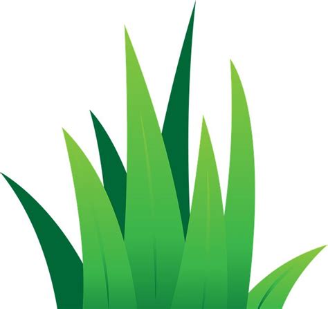 Cari Gambar Rumput Rumput Hijau Alam Gambar Vektor Gratis Di Pixabay