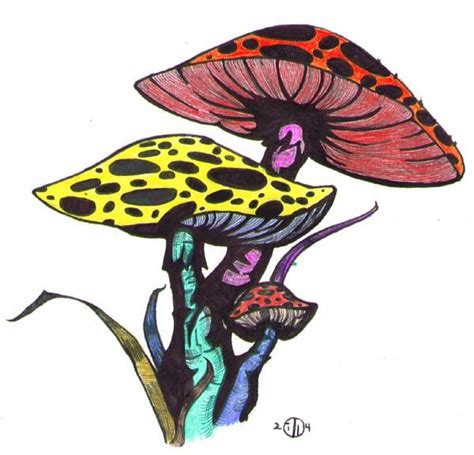 17 Best Images About Shrooms Ii On Pinterest Mushroom Art Mushroom