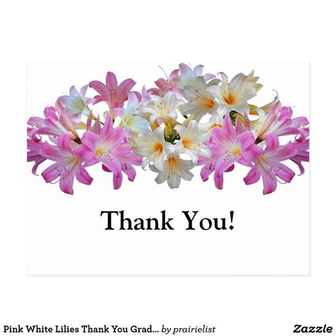 Pink White Lilies Thank You Graduation Postcard Zazzle Pink White