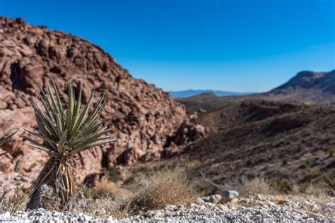 4 Stops At Red Rock Canyon National Conservation Area We