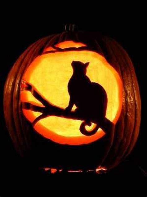 20 Cat Pumpkin Carving Designs Decoomo