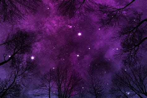 Purple Starry Night Sky Background With Heavy Nebula Low Angle View