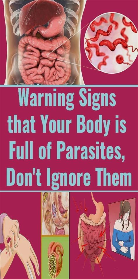 10 Warning Signs Your Body Is Full Of Parasites And 7 Foods That Can Help Kill Them Wellness Guru