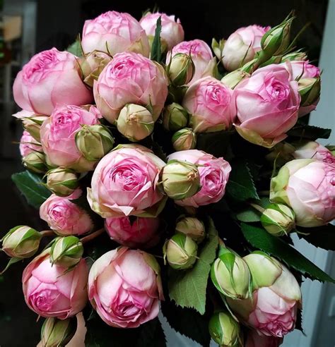 Repost Bergner And Johnson Design Beautiful Bridal Piano Garden Roses