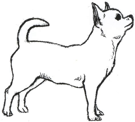 New Line Drawing Of Dogs Drawing Tips 3 Clip Art Library