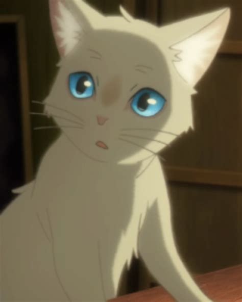 Most Popular Anime Cats