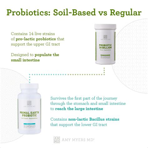 Soil Based Sbo Probiotics Vs Regular Probiotics Amy Myers Md