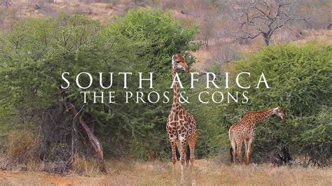 The Pros And Cons Of Living In South Africa Youtube