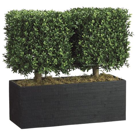 How To Create A Perfectly Manicured Boxwood Hedge Artificial Plants