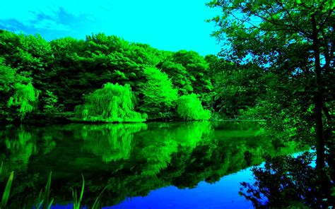 Green River Wallpapers Top Free Green River Backgrounds Wallpaperaccess