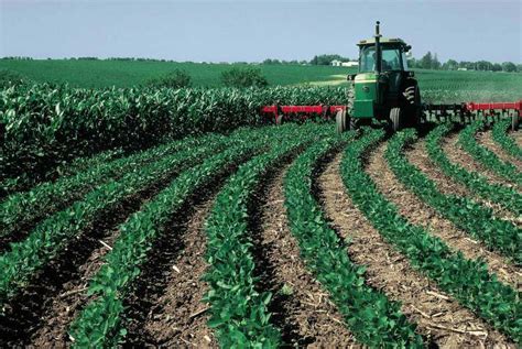 Agronomic Procedures In Dryland Agriculture Global Perspective