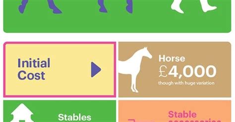 Check spelling or type a new query. How Much Does A Horse Really Cost? | Adventures With An Ex ...