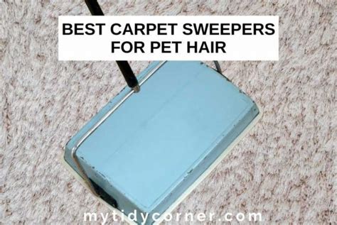 8 Best Carpet Sweepers For Pet Hair 2023