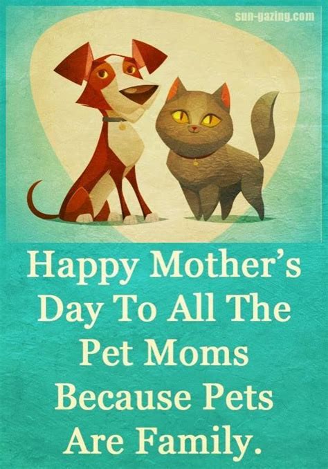 Happy Mother S Day To All The Pet Moms Pictures Photos And Images For