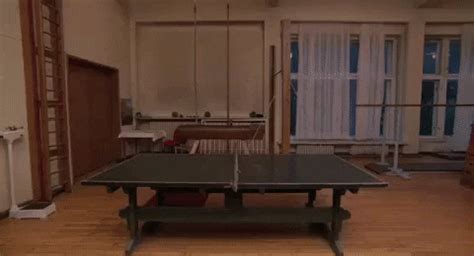 We did not find results for: Table Tennis GIFs - Get the best GIF on GIPHY