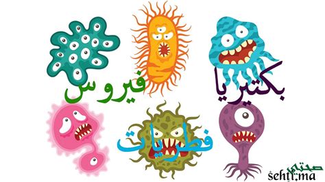 Champignons Bactéries Et Virus بكتيريا فيروسات و فطريات Darija