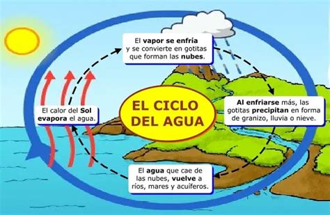 Ciclo Del Agua ¿qué Es Características Fases Y Más