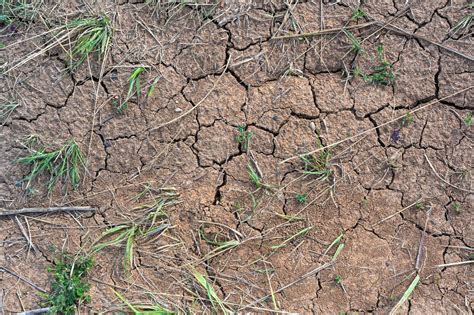 Premium Photo Dry Mud Cracked Ground Texture Drought Season