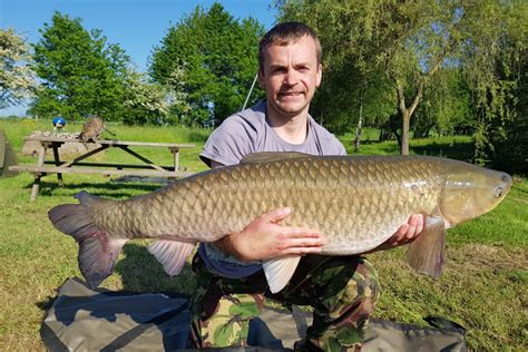 Grass Carp Images Fishing France Etang De Azat Chatenet