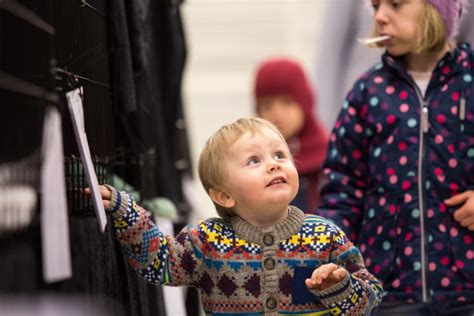 From Iceland — Big Year For Adoptions In Iceland