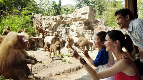 Singapore Zoo How The World Leading Zoo Brings People And Nature