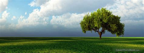 We have large collection of facebook timeline cover photos for you. Landscape Lone Tree Facebook Cover - Nature
