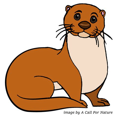 animated weasel coloring page png image