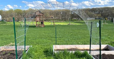 How To Build A Cattle Panel Arch Trellis Sow Many Plants