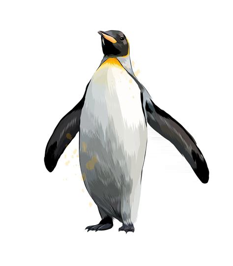 Emperor Penguin From A Splash Of Watercolor Colored Drawing Realistic