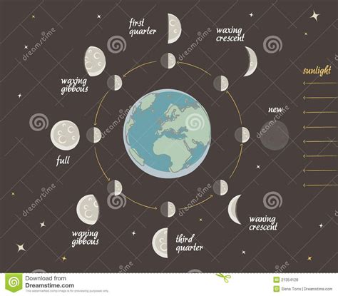 Astronomy Lesson Moon Phases Vector Stock Vector Illustration Of