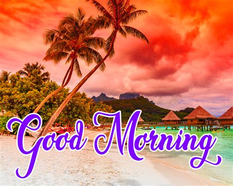 Maybe you would like to learn more about one of these? Good Morning Beautiful Images HD Download - Tab Bytes India