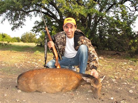 Sika Deer Hunting