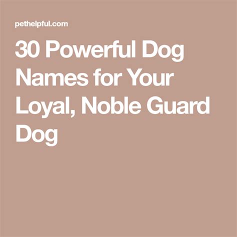 40 Powerful Dog Names For Your Loyal Noble Guard Dog Dog Names