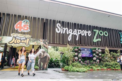 Singapore Zoo River Safari And Jurong Bird Park Have 1 For 1 Offers