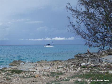Things We Did Today Great Inagua Far Bahamas