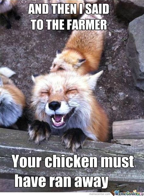 Think Outside The Fox Collection Of Fox Memes Images I Can Has Cheezburger Fox Memes