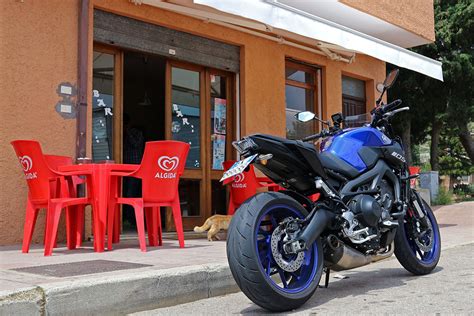 Um seine situation zu retten, kommt er auf die idee, flitzer für sportwetten einzusetzen. 6_armin-hoyer_yamaha-mt-09-bar-solanas-sardegna - ARMIN ON ...