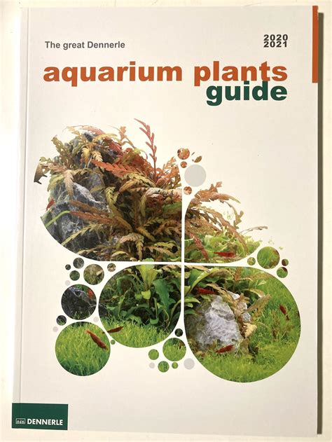 The Great Dennerle Aquarium Plants Guide 2020 Small Exotic Farm