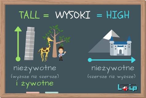Tall Czy High Loip Angielski Online English Lessons English