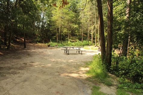 Photo Of Campsite 311 In Cedars Campground At Sandbanks Provincial Park