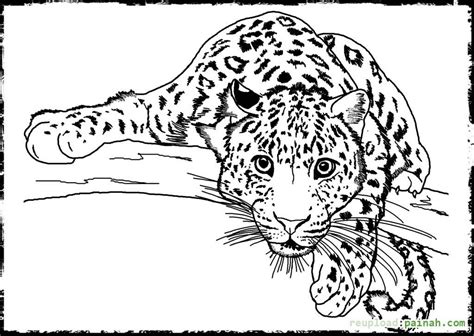 Animal Coloring Pages For Adults At