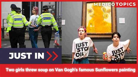Who Are The Protesters Throw Soup In Vincent Van Gogh Painting Here S