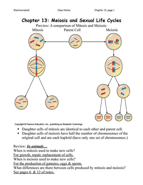 Chapter 13 Meiosis And Sexual Life Cycles Westmoreland Class Notes