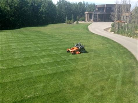Well… we have the best lawn service cost pricing guide for residents in the cedar rapids, iowa city, quad cities, waterloo, and des moines areas. Pricing | Yard Busters Landscaping and Yard Care - Calgary