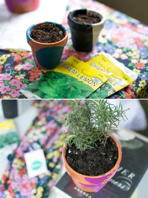 Diy Fabric Covered Planters 7 Herbs For A Beauty Herb