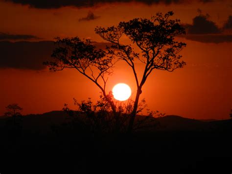 Gambar Pemandangan Alam Horison Awan Matahari Terbit Matahari