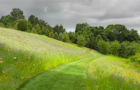 Carextours Meadow Garden Garden Design Landscape Design