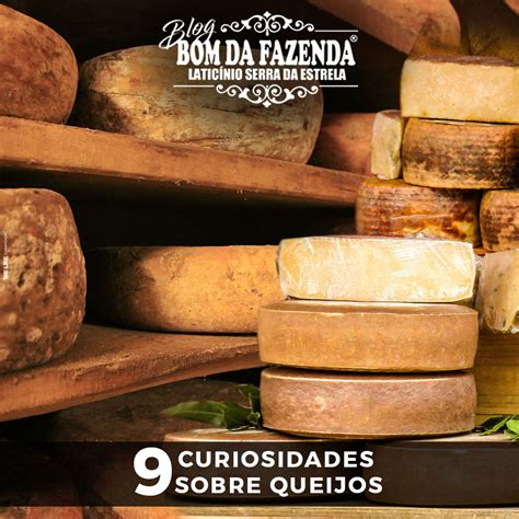 Curiosidades sobre queijos que você não sabia