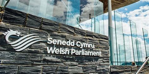 All You Need To Know About Senedd Elections Newyddion Cymru Ar Lein Wales News Online